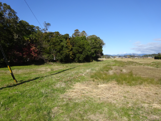 高田大屋敷の登城記録(dougenさん)