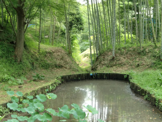 黒羽城の登城記録(dougenさん)