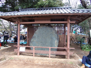 飛鳥山城の登城記録(dougenさん)