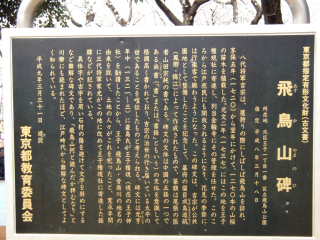 飛鳥山城の登城記録(dougenさん)