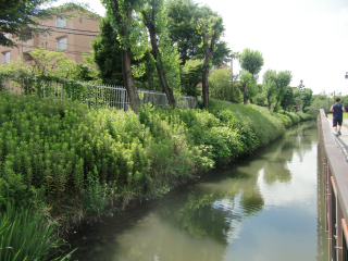 小菅御殿の登城記録(dougenさん)