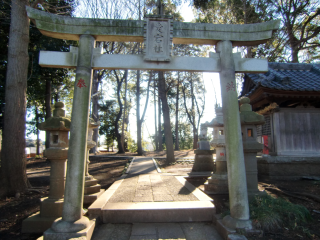 殿ノ城（井出沢城）の登城記録(dougenさん)