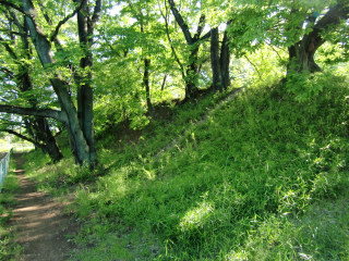 小泉城の登城記録(dougenさん)