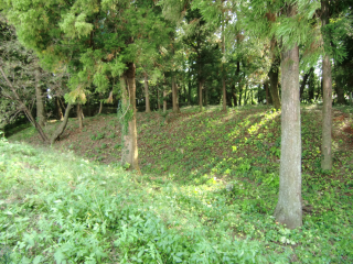 膳城の登城記録(dougenさん)