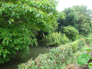 門井館の登城記録(dougenさん)