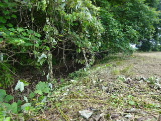 鐘撞山（油井城、油井ヶ島城）の登城記録(dougenさん)