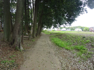 武城の登城記録(dougenさん)