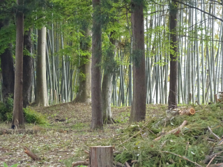 武城の登城記録(dougenさん)