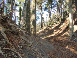 本栖城の登城記録(dougenさん)