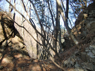 本栖城の登城記録(dougenさん)