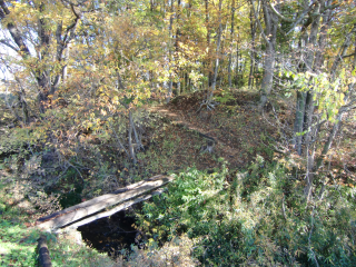 深草館の登城記録(dougenさん)