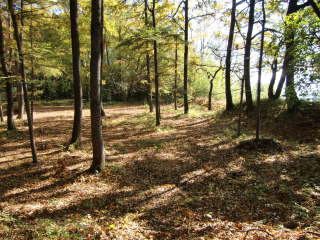 深草館の登城記録(dougenさん)