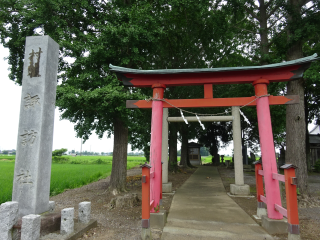 戸崎城の登城記録(dougenさん)