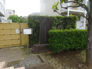 伝足立右馬允遠元館の登城記録(dougenさん)