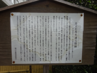 伝足立右馬允遠元館の登城記録(dougenさん)