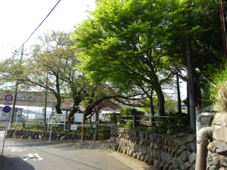 富士塚城（飯田家義館、飯田城、飯田氏館）の登城記録(dougenさん)