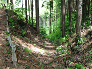 柄杓山城（桐生城）の登城記録(dougenさん)