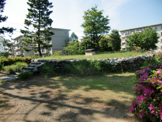 菅寺尾城（寺尾城）の登城記録(dougenさん)