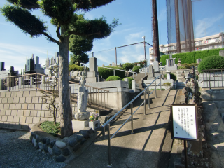 石田城（石田五郎為久館）の登城記録(dougenさん)