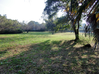 牛久陣屋の登城記録(dougenさん)