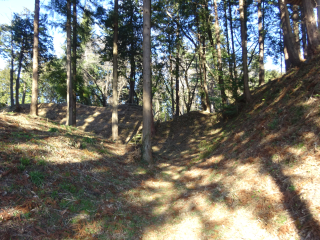 中城の登城記録(dougenさん)