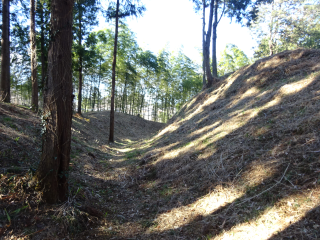 中城の登城記録(dougenさん)