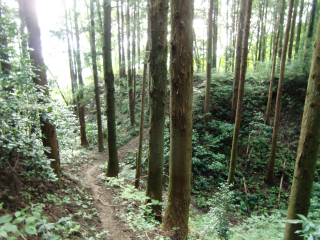 松井田城の登城記録(dougenさん)