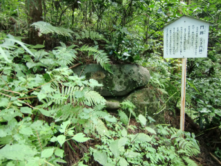 松井田城の登城記録(dougenさん)