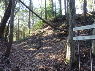 青山城（割谷城、下里城）の登城記録(dougenさん)