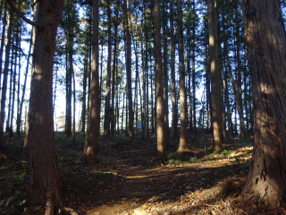 青山城（割谷城、下里城）の登城記録(dougenさん)