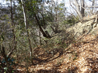 猪俣城の登城記録(dougenさん)