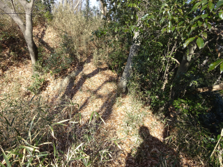 猪俣城の登城記録(dougenさん)