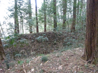 金仙寺城（下原城）の登城記録(dougenさん)