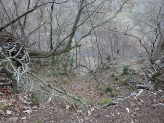 金仙寺城（下原城）の登城記録(dougenさん)