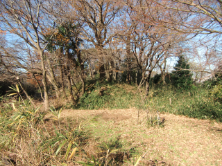 井田城（井田館）の登城記録(dougenさん)