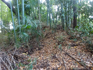 川辺堀之内城の登城記録(dougenさん)