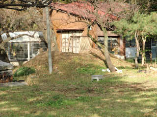 本庄城の登城記録(dougenさん)