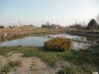 佐野陣屋（植野城、堀田佐野城）の登城記録(dougenさん)