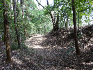 楯の沢砦の登城記録(dougenさん)