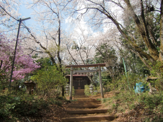 伊那城（伊奈城）の登城記録(dougenさん)