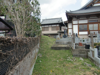 来住野氏館（舘谷の塁）の登城記録(dougenさん)