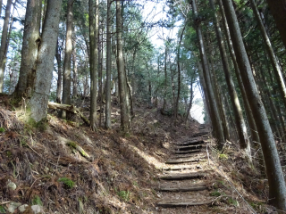 御岳城（御岳山城）の登城記録(dougenさん)