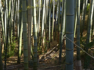 佐伯氏館（佐伯屋敷）の登城記録(dougenさん)