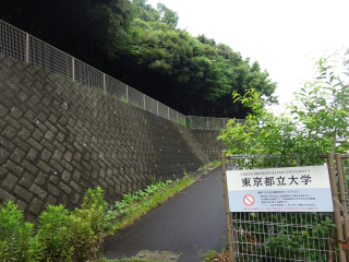 井草屋敷の登城記録(dougenさん)