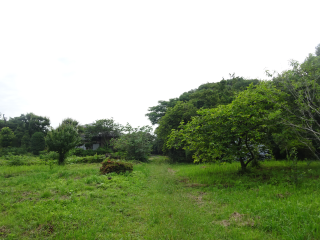 大石氏館（大石信濃守屋敷）の登城記録(dougenさん)