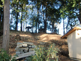 梶原館の登城記録(dougenさん)