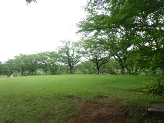 高山（高山城）の登城記録(dougenさん)