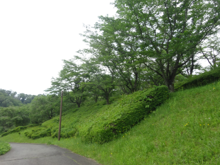 高山（高山城）の登城記録(dougenさん)