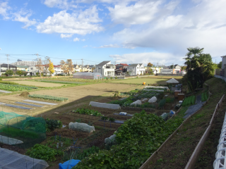 日奉氏館の登城記録(dougenさん)
