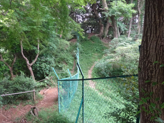 百草城の登城記録(dougenさん)